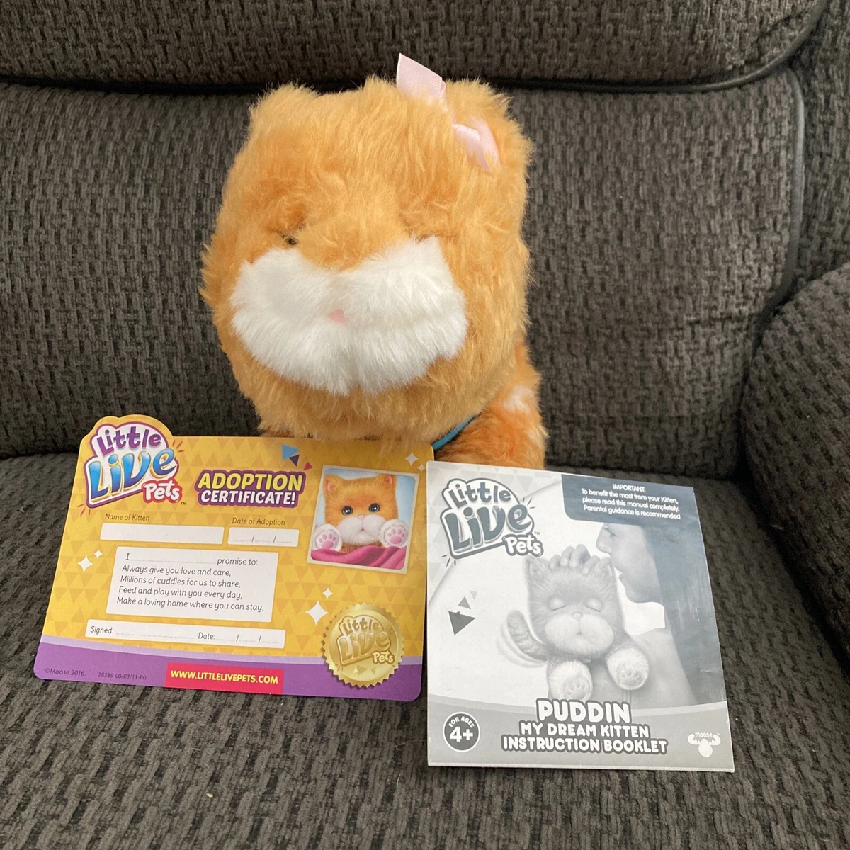 Little live pets clearance puddin my dream kitten