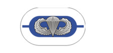 4" 1st battalion 325th airborne infantry oval army sticker decal usa made
