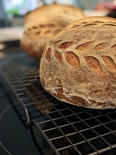 Sourdough Starter Flakes from Idyllwild WKND ...