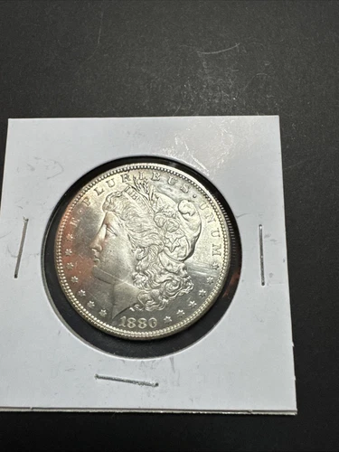 1880 S SILVER MORGAN DOLLAR PROOF LIKE WITH ( LARGE S )