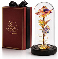 Nice Decor Gift for Mom Birthday Gifts for Woman - Forever Rose in Glass