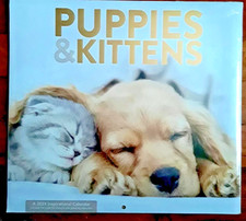 2024  "PUPPIES  KITTENS" Wall Calendar LAST ONE 