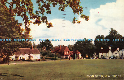 R358653 Swan Green New Forest J Lachs Kamerafarbe