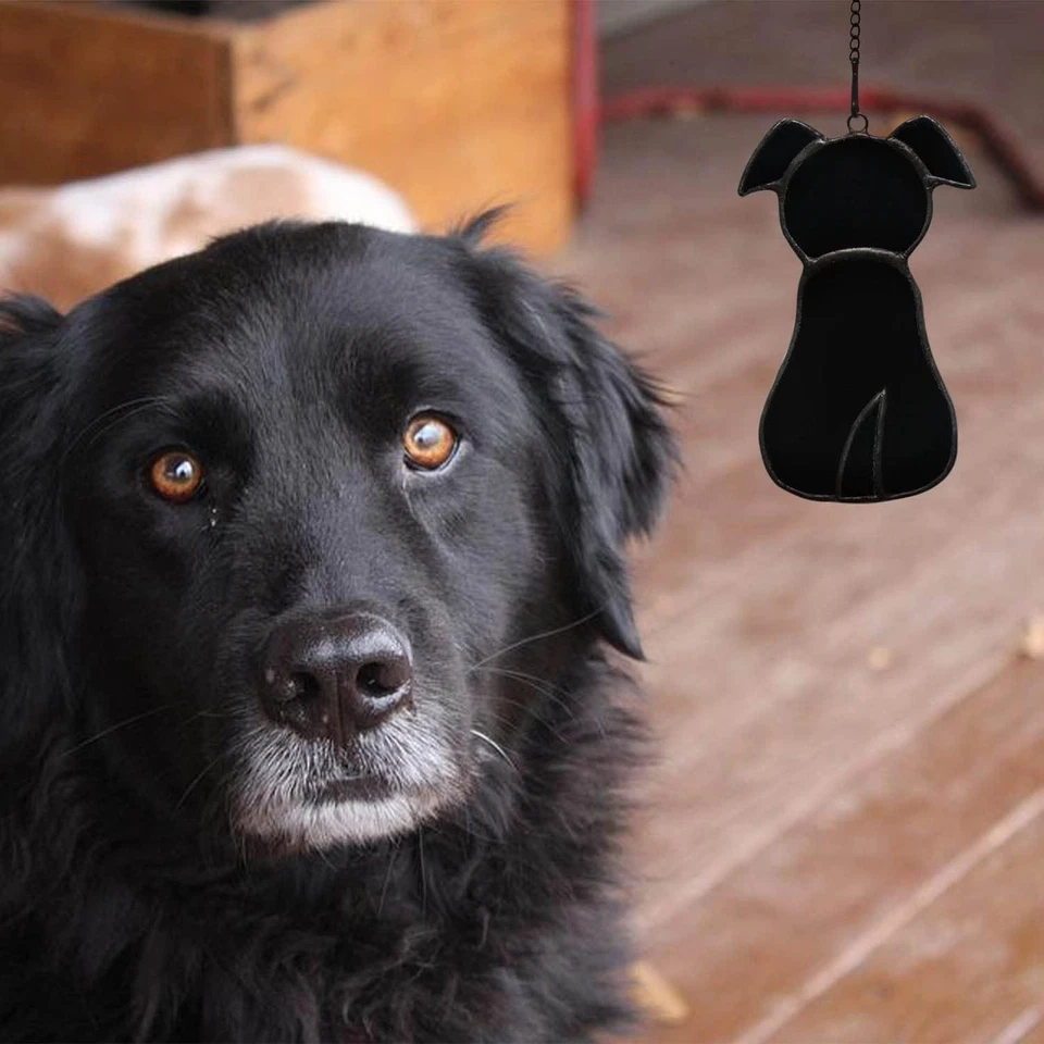 Hecho a mano BOXCASA Mascota Perro Memorial Vitral Ventana Colgante Regalo Foto 4 de 4