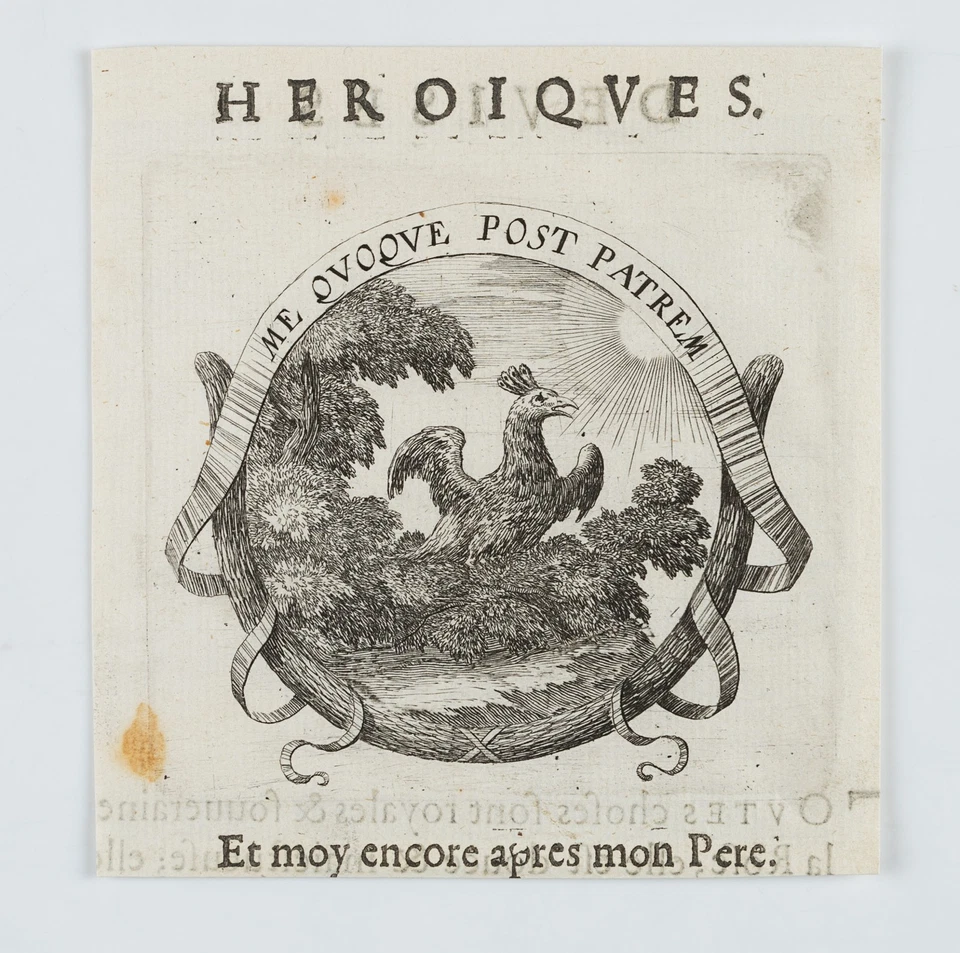 Pfau,  1649, Kupferstich Barock Tiere 1600-1649 Druckgraphik Unbekannt (17.Jhd) - Bild 2 von 4