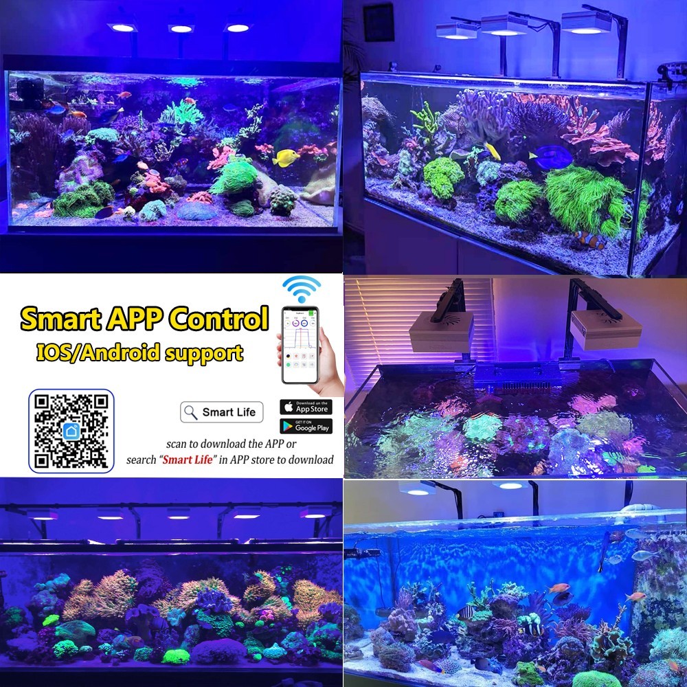 PopBloom RL90: Lampada LED per Acquario Reef foto 2