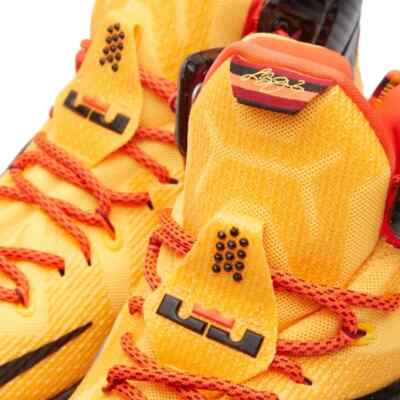 NEW Nike LeBron XII Cleveland Men display picture 2