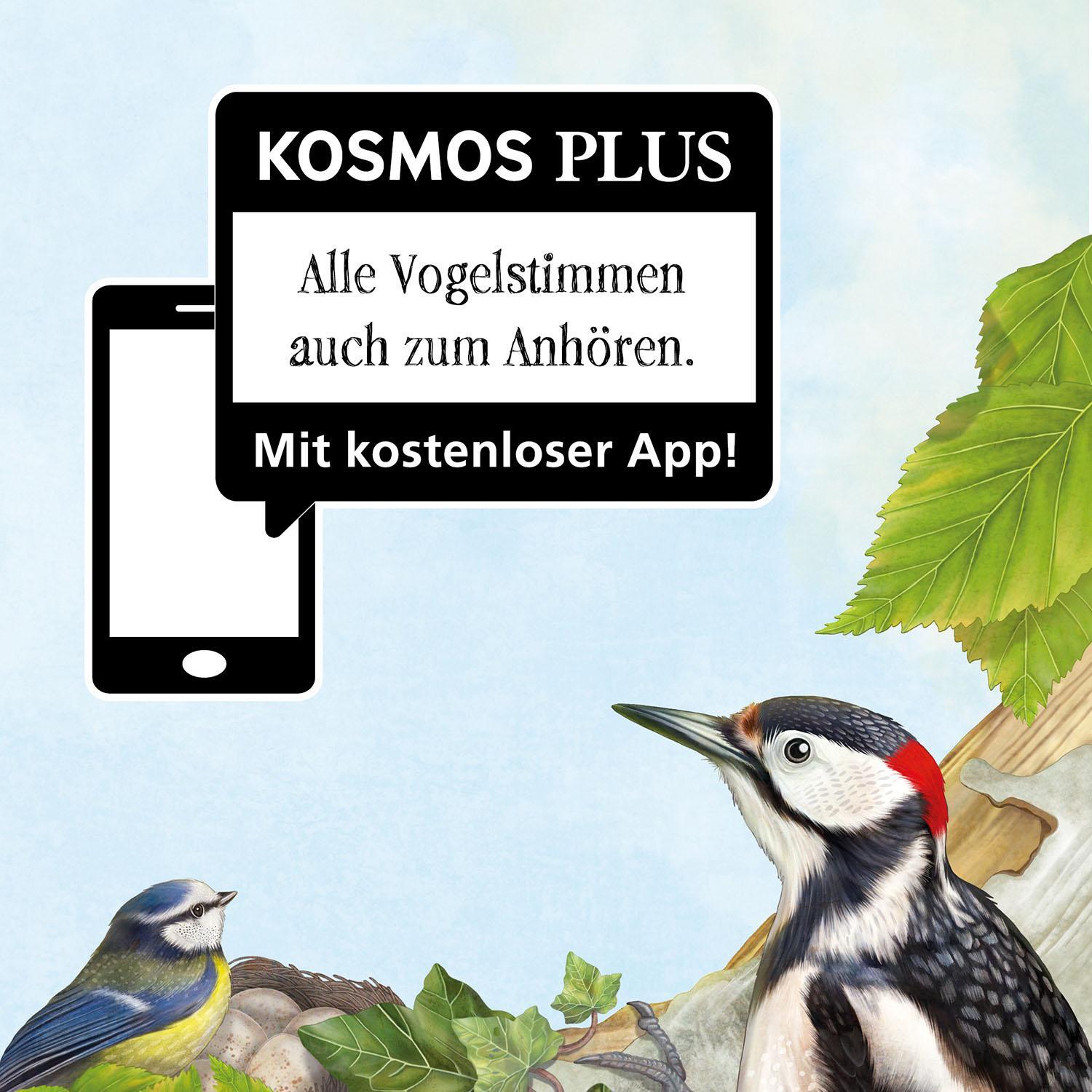 Thumbnail - Mein Vogelbuch Svenja Ernsten