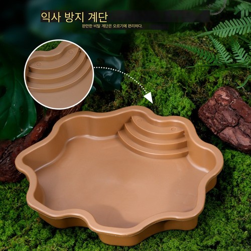 Turtle Pool Reptile Water Dish with Ramp Turtle Bath Turtle Water Bowl Reptile - Picture 11 of 15