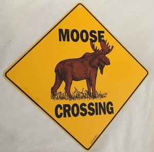 yellow black 12x12 moose crossing sign ebay
