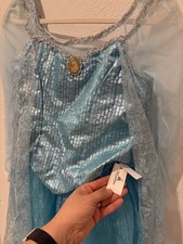 Disney Park aut ntic Frozen Elsa Dress costume 14-16
