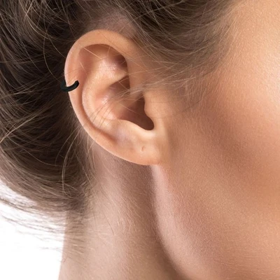 Acier Inox Créoles Boucles D'Oreilles Unisexe Argent Noir or Rose Or Arc-en-Ciel - Photo 1/4
