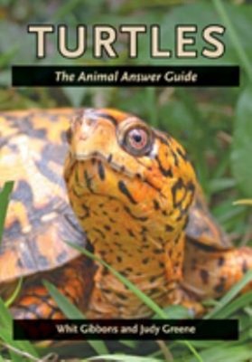 Turtles : The Animal Answer Guide Paperback Judy, Gibbons, Whit G