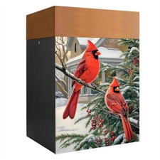 Cremation Urns for Human Ashes Adult Male Female, Wooden Urns Box and Casket ...