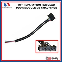 Reparatur Stecker Strahl Modul Heizung Nuckel Boxer Jumper Ducato 77366210