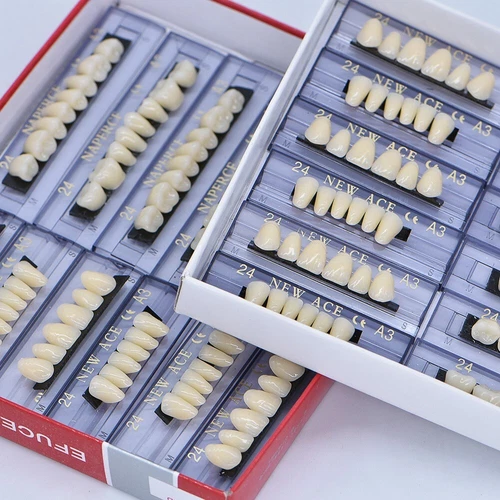 168Pcs Dental Acrylic Resin Denture A3#24 Shade Full Upper Lower False Teeth US - Picture 2 of 12