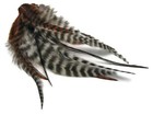 Foto 5 di 8