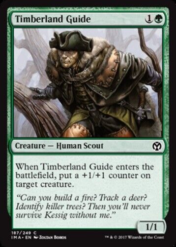 NM-Mint, English MTG Regular Timberland Guide Iconic Masters Magic the Gathering - Picture 1 of 1