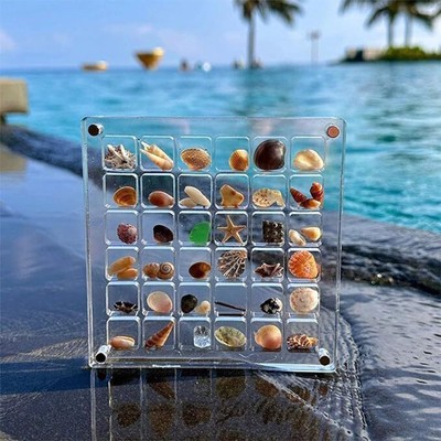 Magnetische Mini Muschel Displaybox Acryl mit 36/64/100   Fächern, Aufbewahrun