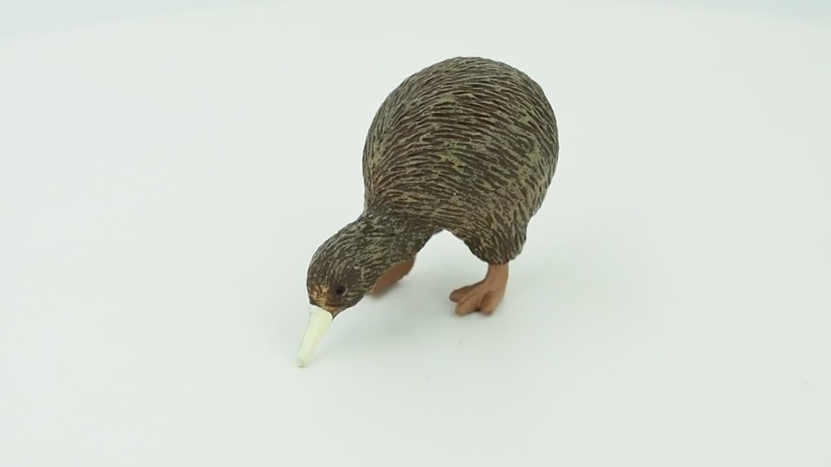 Kiwi Bird, Realistic Toy Figure, Model, Replica, Statue 2 1/2