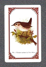 Vintage Swap Playing Card BIRDS Small bird Swap Card