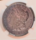 1889 P Morgan Silver Dollar Uncirculated BU Flawless Coin With Amazing Toning Z
