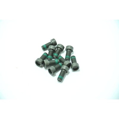 ClutchPro Flywheel Bolt Set 10x1.0x22.5 73Nm (10Pk) FWBAU07 | eBay ...