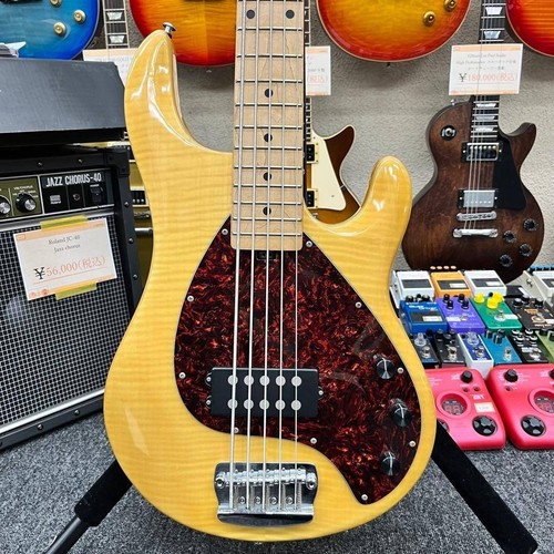 11232 Olp By Musicman Stingray 5 String Bass
