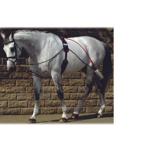 NEW John Whitaker Training System/Aid/Pessoa With Lunge Lunging Horse