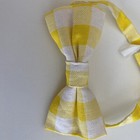 Bild 2 von 7