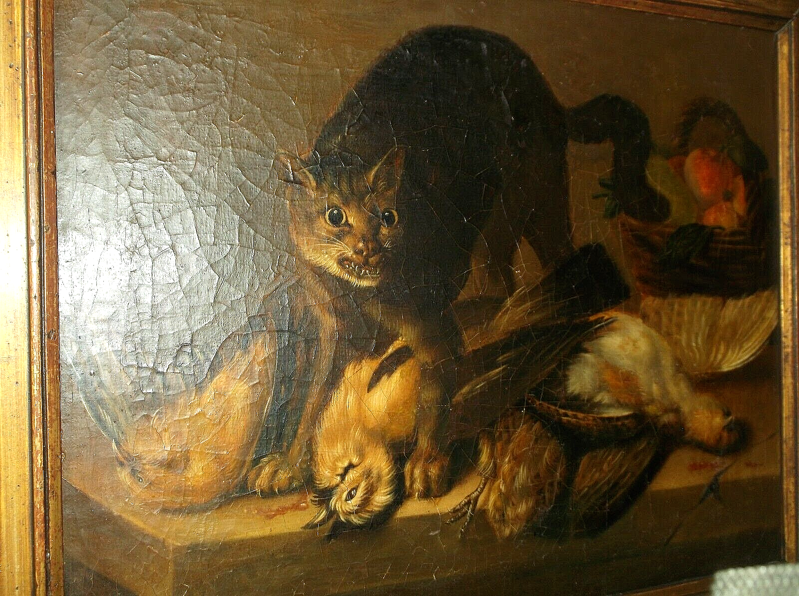 Picture 5 of 20