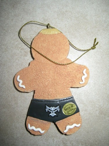 Nuevo Adorno de Navidad WWE Wrestling AJ Styles Brock NAKAMURA FINN PAN DE JENGIBRE - Imagen 9 de 19