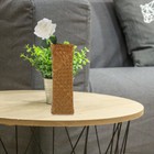 Bild 3 von 12