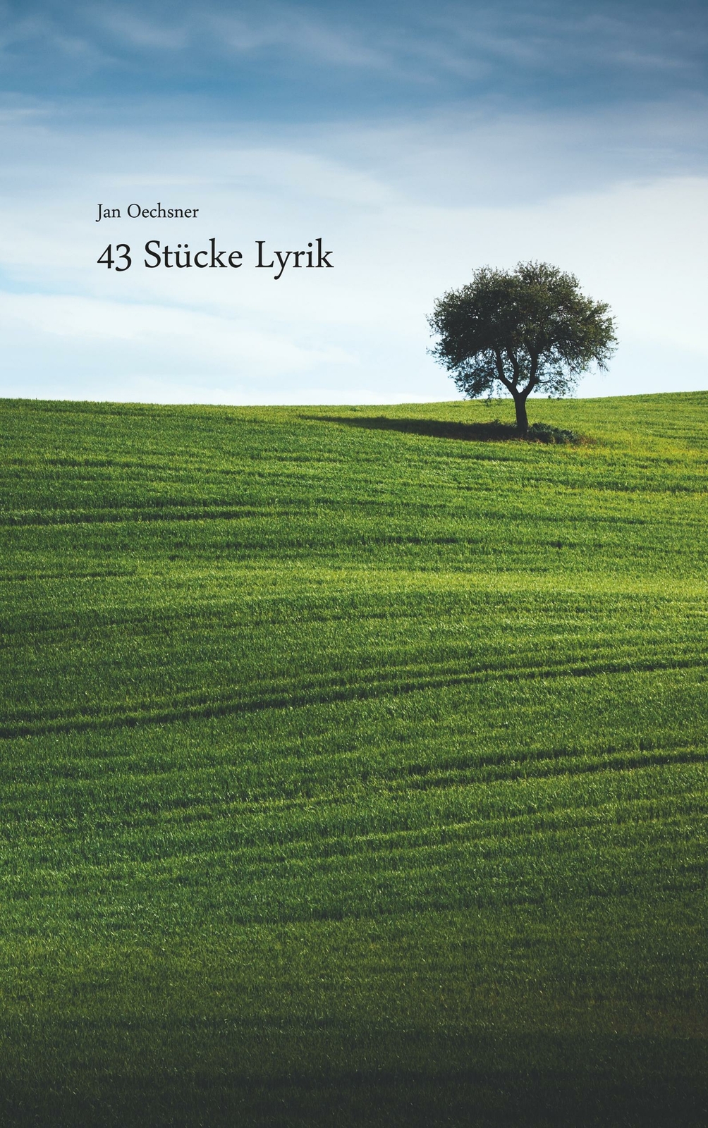 43 Stücke Lyrik | Buch | 9783751907637