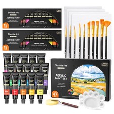 47 Pack Acrylic Paint Set 15 Colors 10 Brushes Canvas Palette Complete Art Kit
