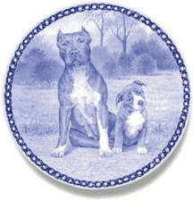 New OVP Pit Bull Terrier With Puppy