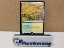 Magic: The Gathering - Sungrass Prairie C20 317