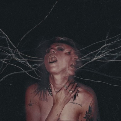 A Call To The Void [Complete Production Ltd Ed / Red Vinyl] Hot Milk [LP record]