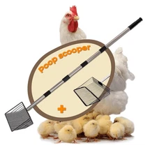 Poop Scooper for Chicken Coop, 68 Inch Large Litter Shovel with 304 Stainless...