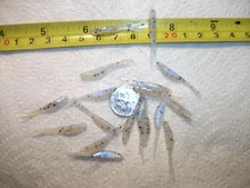 200-1 1/4" FLUKES-crappie-trout-panfish-soft minnows-grubs-jigs-split tails-lure