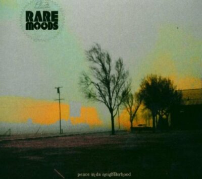 Rare Moods    Peace In Da Neighborhood DIGIPAK / Comet Records CD 2004 Neu