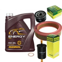 Inspektionspaket 5L Energy 5W-30 FüR Renault Clio I 1.2 1.4 Megane Rapid Kasten