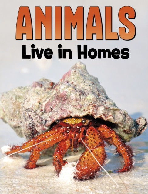 Animals Live in Homes by Nadia Ali (Paperback Book)