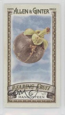 2022 Topps Allen & Ginter Bearing Fruit Minis Mangosteen #BF-13 1u6