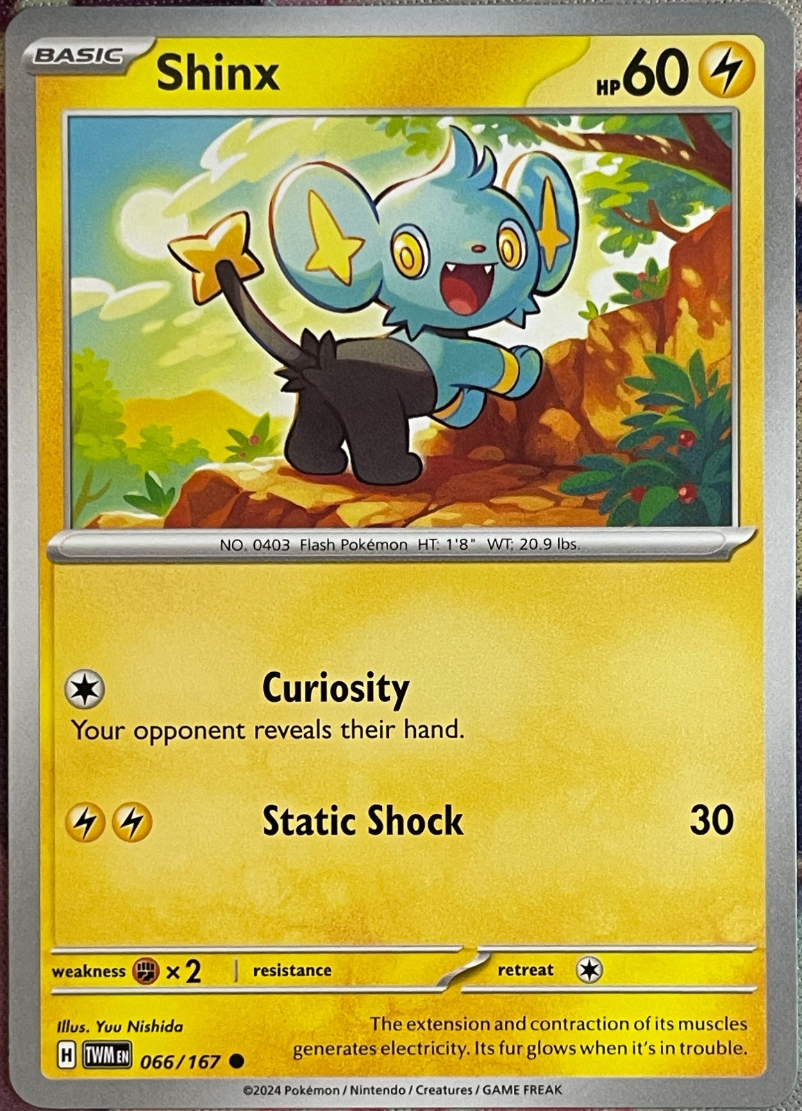 Shinx - 066/167 - Twilight Masquerade Pokemon 2024