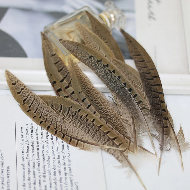 5Pz Piume Di Fagiano Naturali Piume Per Cappello Decorazione Artigianale - Immagine 3 di 4