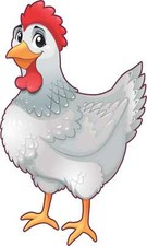 3in x 5in Left Facing White Chicken Vinyl Sticker Car Truck Vehicle Bumper Decal