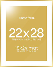 Gold 22x28 Picture Frame with Mat for 18x24 Prints, Tempered Glass, Wall Kit