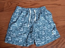 Spicy Tuna Swim Trunks Mens Size Medium Blue/White Shorts, FLAWS, Preowned