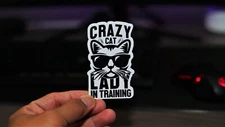 Crazy Cat Lady in training Die Cut Stickers for Cars Laptop Wall Waterbottle